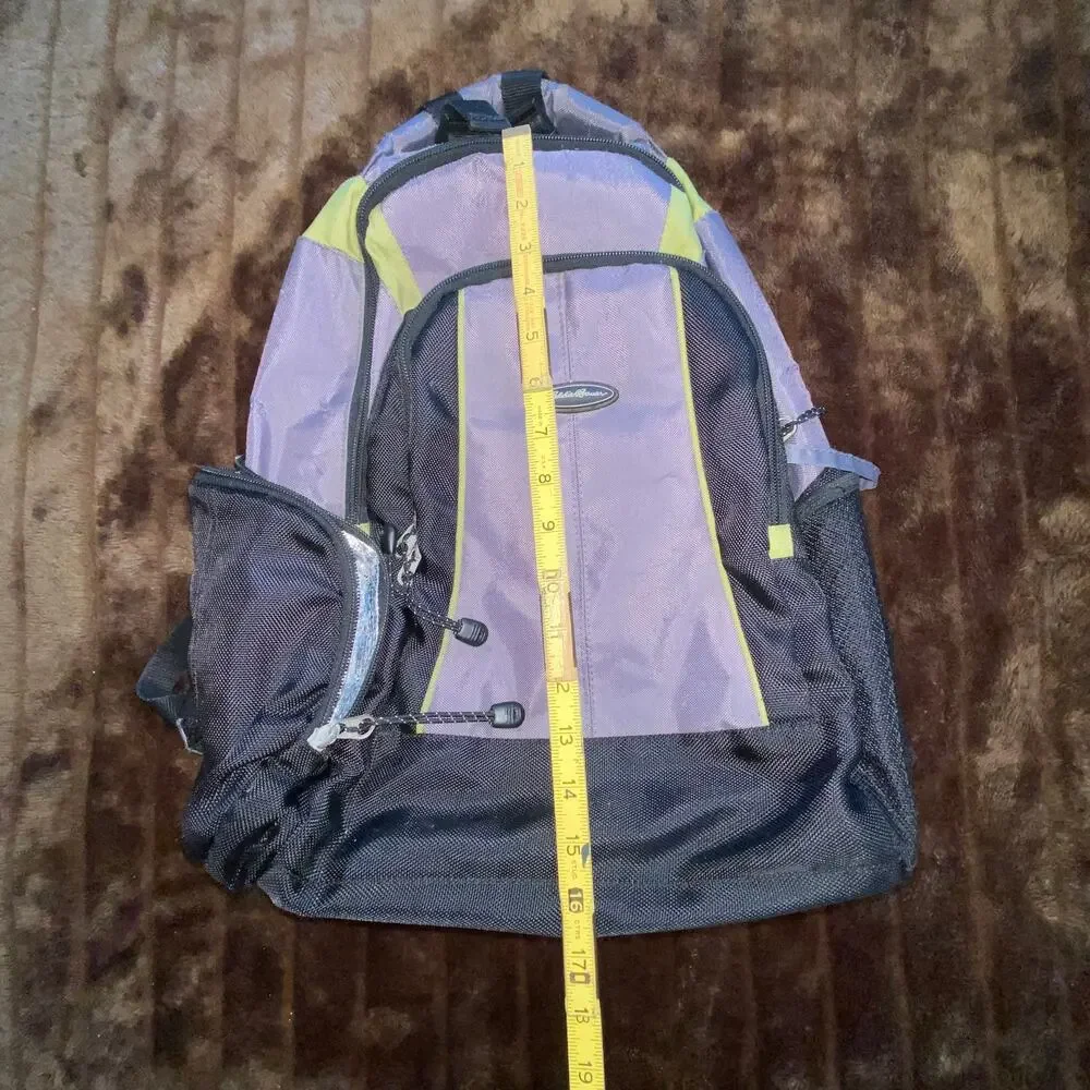 Eddie Bauer Black/Gray Padded Insulated Backpack Older, Clean Condition‎